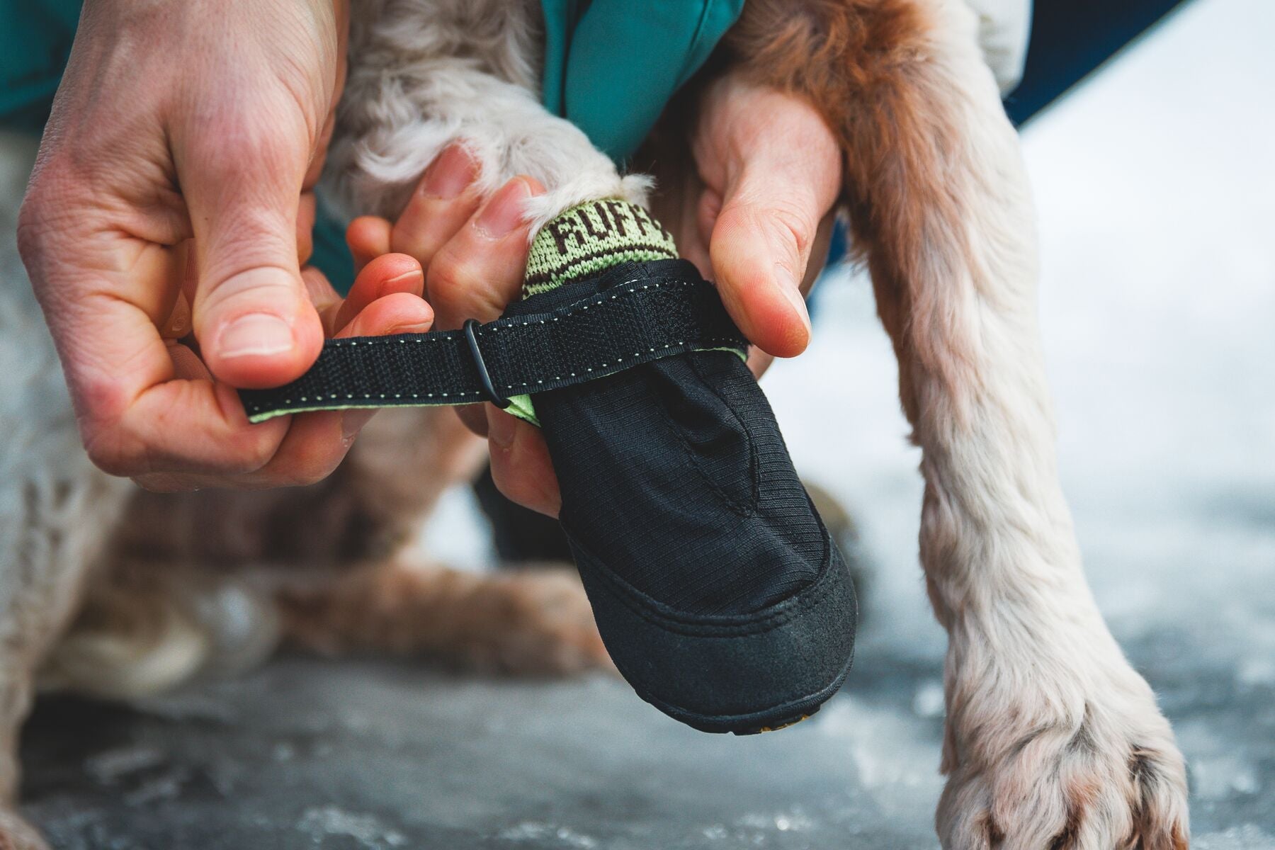 ****NEW COLOUR**** Summit Trex™ Dog Shoes (Ruffwear) - SnowPaw Store - Ruffwear - Dog Boots