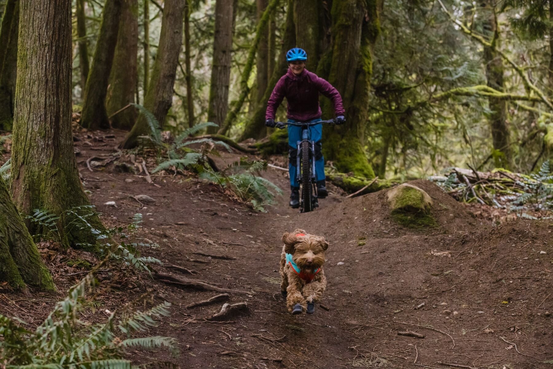 ****NEW COLOUR**** Summit Trex™ Dog Shoes (Ruffwear) - SnowPaw Store - Ruffwear - Dog Boots