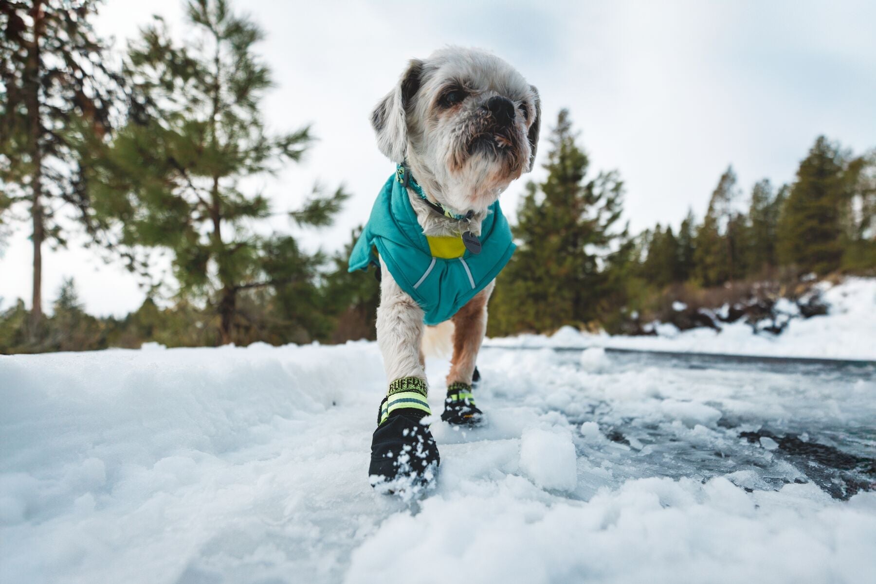 ****NEW COLOUR**** Summit Trex™ Dog Shoes (Ruffwear) - SnowPaw Store - Ruffwear - Dog Boots