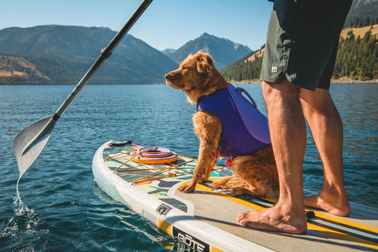***NEW COLOURS*** Float Coat (Ruffwear) - SnowPaw Store - Ruffwear - Active Dog Gear