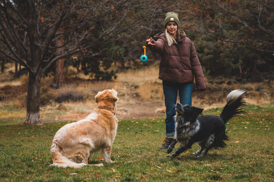 ***NEW COLOURS*** Huck - a - Cone (Ruffwear) - SnowPaw Store - Ruffwear - Dog Toys