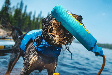 ***NEW COLOURS*** Lunker Toy (Ruffwear) - SnowPaw Store - Ruffwear - Active Dog Gear