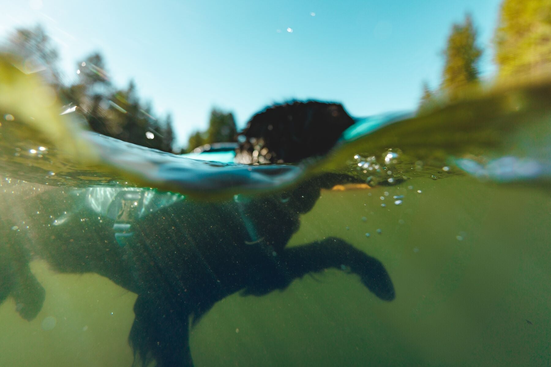 ***NEW*** Confluence™ Dog Life Jacket (Ruffwear) - SnowPaw Store - Ruffwear - Life Jackets