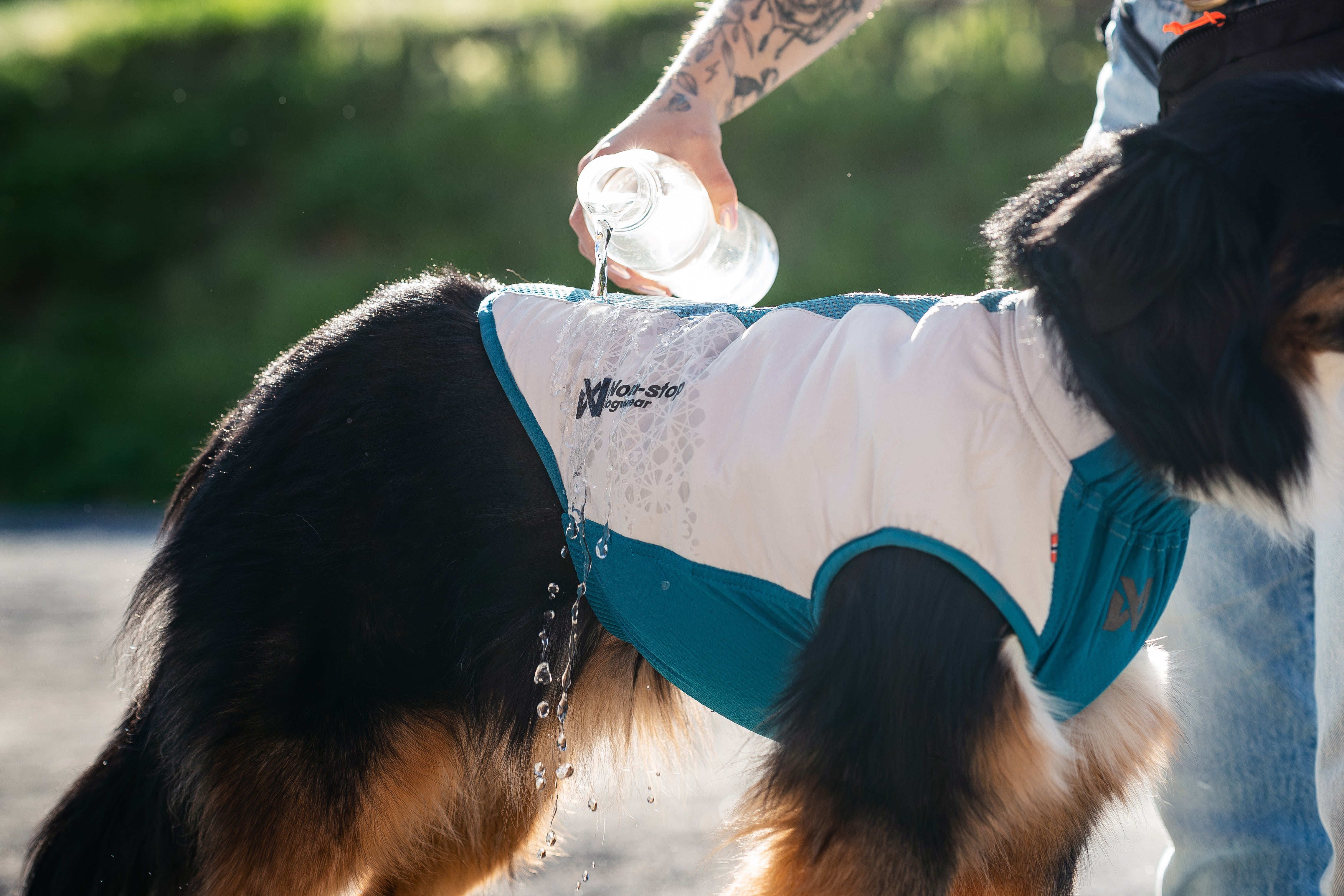 ***NEW*** Cooling Pullover (Non-Stop Dogwear) - SnowPaw Store - Non-Stop Dogwear - Active Dog Gear