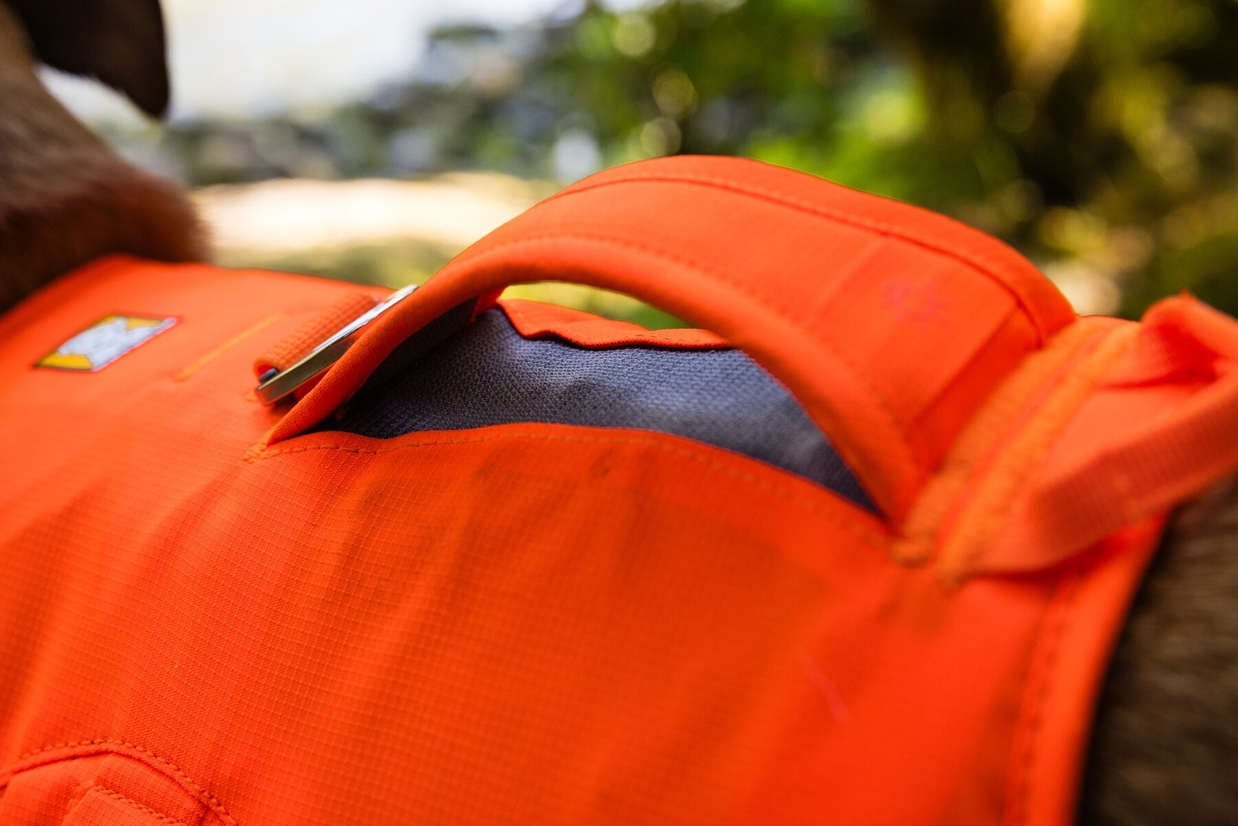 **NEW DESIGN** Web Master Harness 2025 (Ruffwear) - SnowPaw Store - Ruffwear - Dog Harness