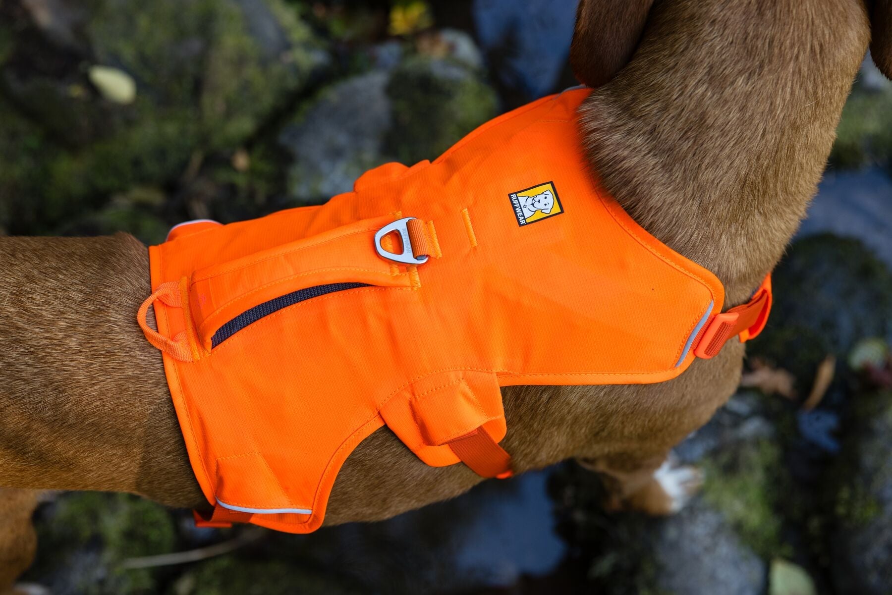 **NEW DESIGN** Web Master Harness 2025 (Ruffwear) - SnowPaw Store - Ruffwear - Dog Harness