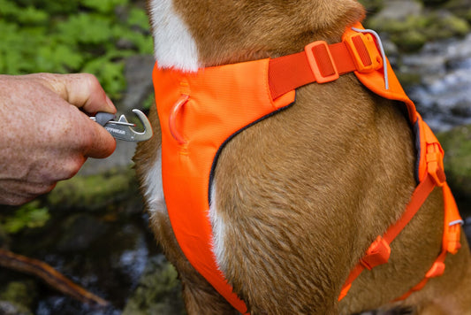**NEW DESIGN** Web Master Harness 2025 (Ruffwear) - SnowPaw Store - Ruffwear - Dog Harness