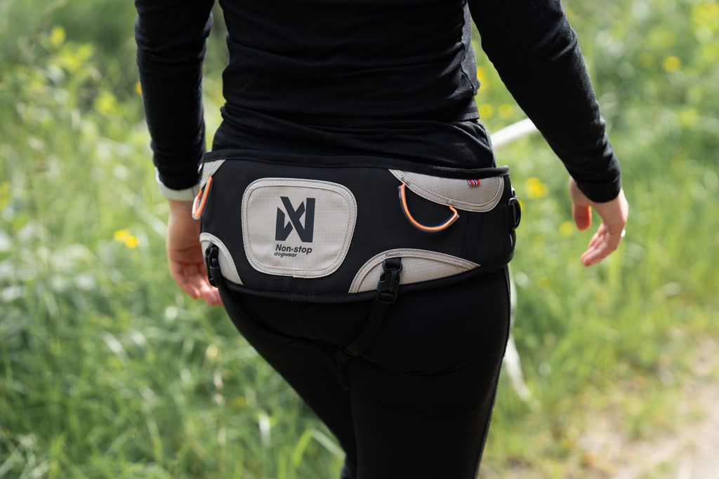 ***NEW*** Explore belt (Non - Stop Dogwear) - SnowPaw Store - Non - Stop Dogwear - Active Human Gear