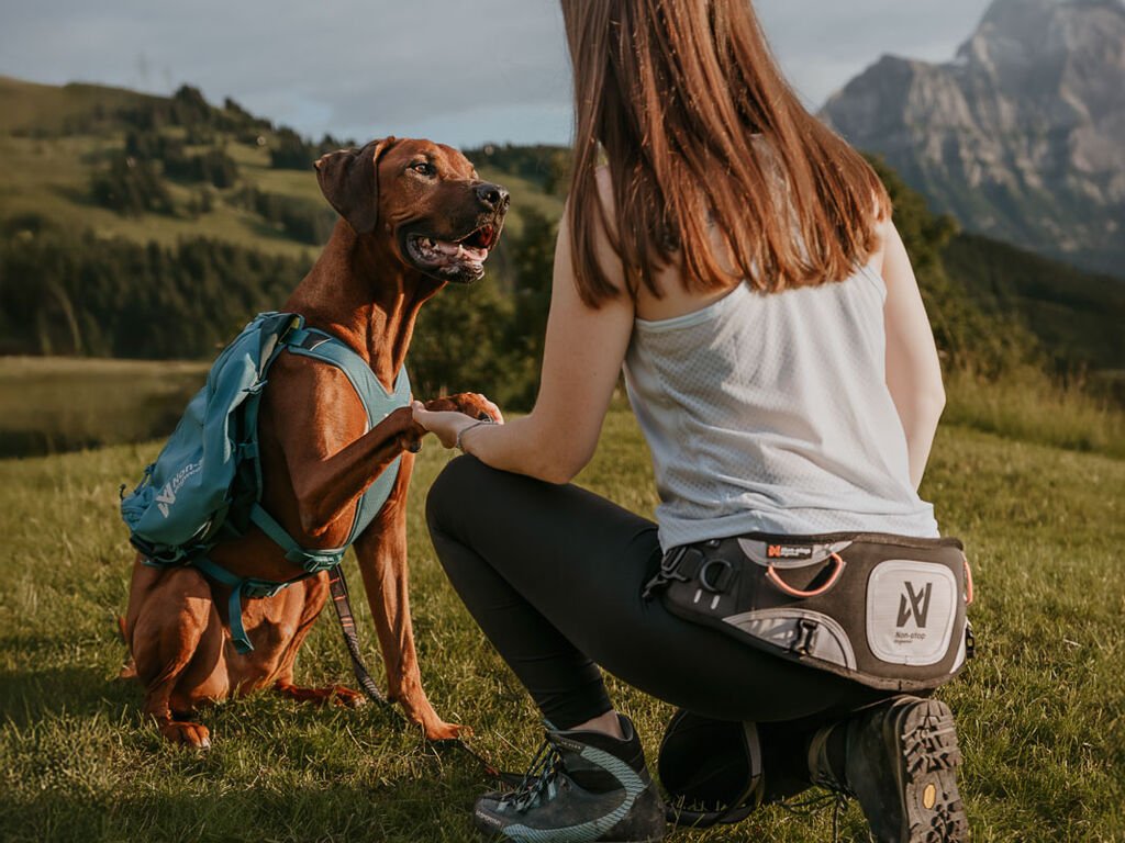 ***NEW*** Explore belt (Non - Stop Dogwear) - SnowPaw Store - Non - Stop Dogwear - Active Human Gear