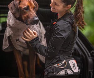 ***NEW*** Explore belt (Non - Stop Dogwear) - SnowPaw Store - Non - Stop Dogwear - Active Human Gear