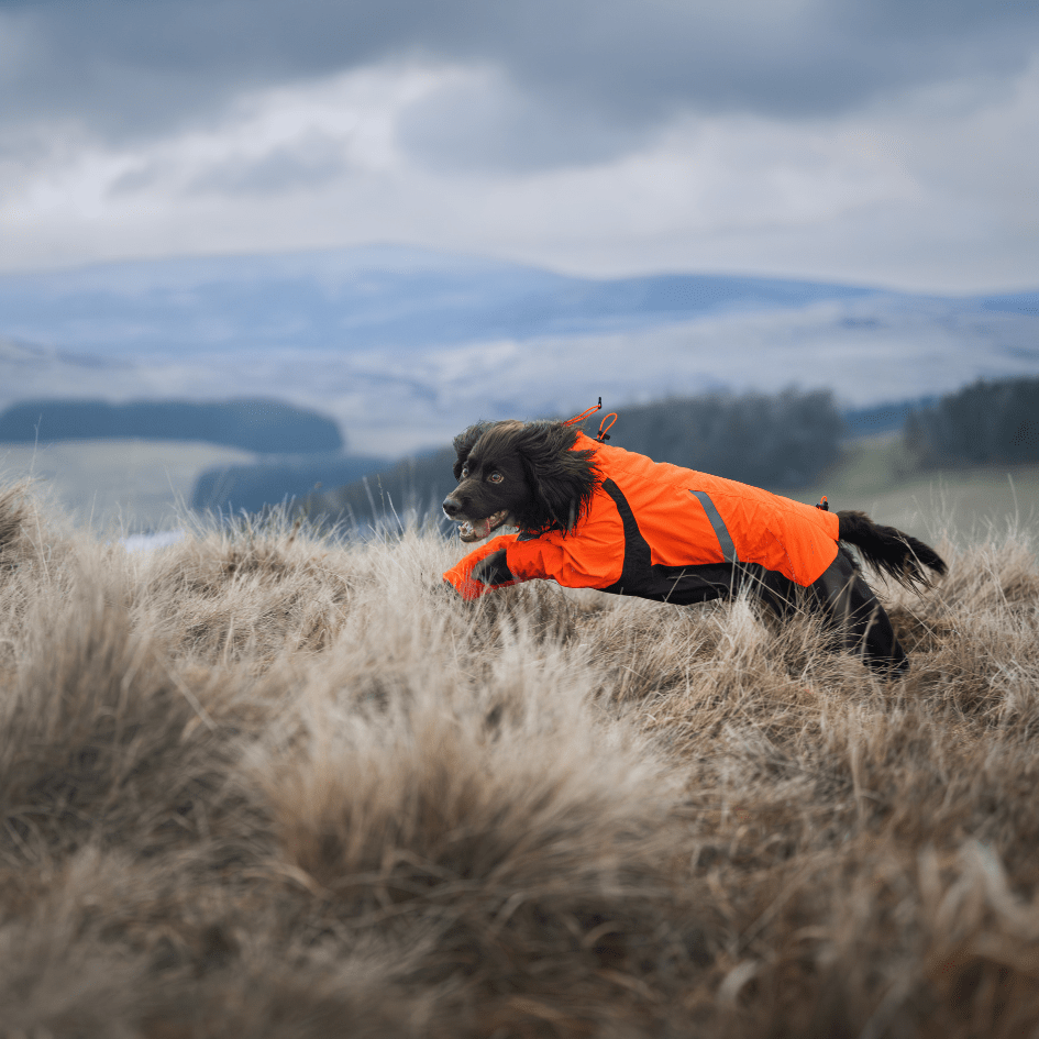 ***NEW*** Fjord Overall Raincoat (Non - Stop Dogwear) - SnowPaw Store - Non - Stop Dogwear - Dog Coats