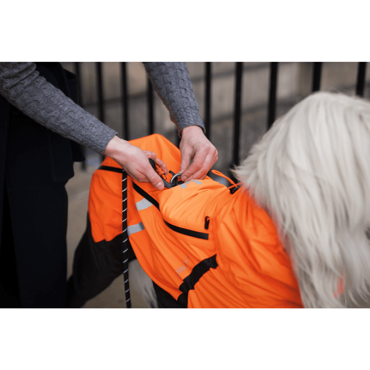 ***NEW*** Fjord Overall Raincoat (Non - Stop Dogwear) - SnowPaw Store - Non - Stop Dogwear - Dog Coats