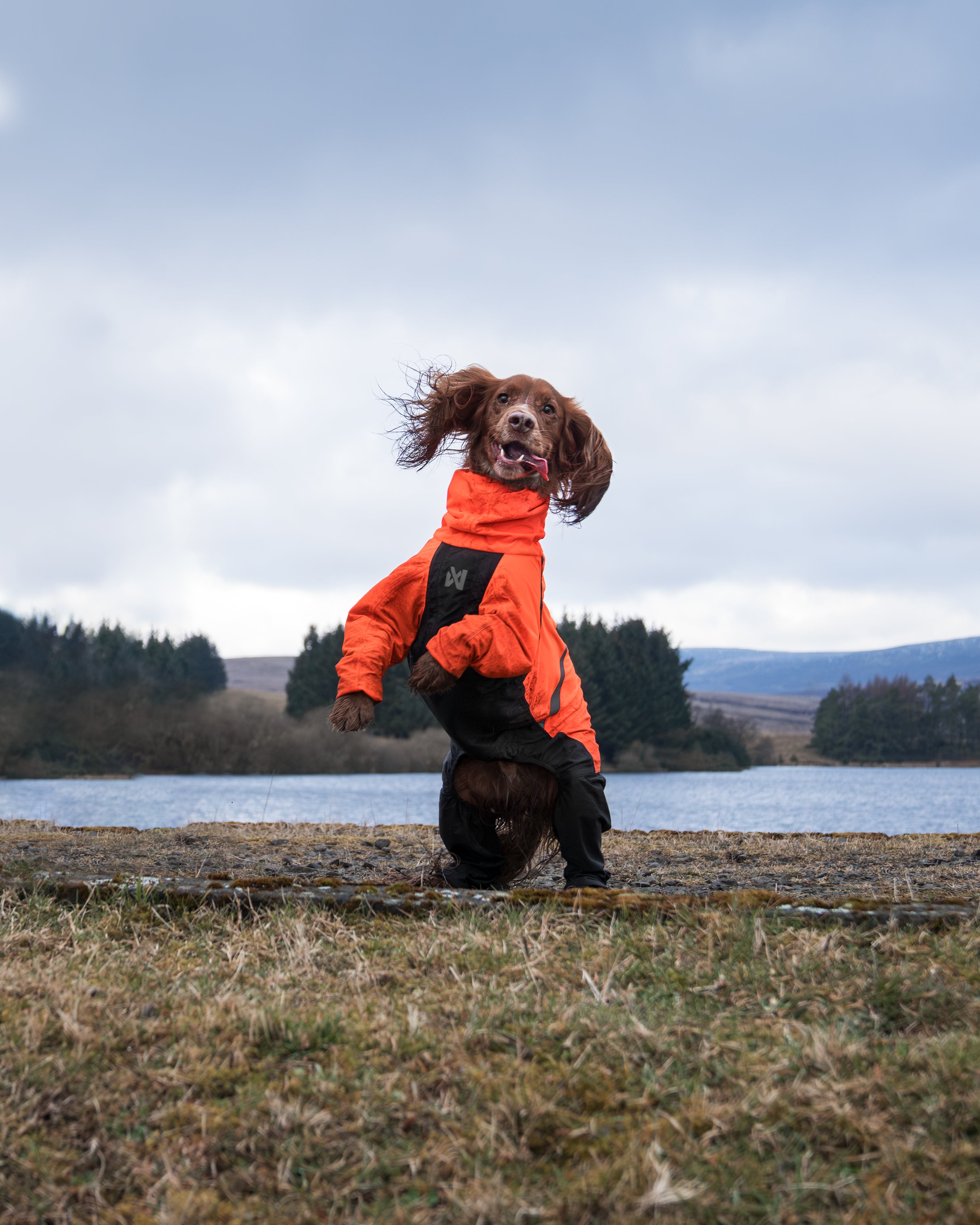 ***NEW*** Fjord Overall Raincoat (Non - Stop Dogwear) - SnowPaw Store - Non - Stop Dogwear - Dog Coats