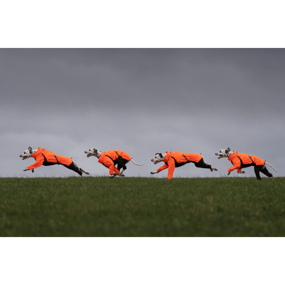 ***NEW*** Fjord Overall Raincoat (Non - Stop Dogwear) - SnowPaw Store - Non - Stop Dogwear - Dog Coats