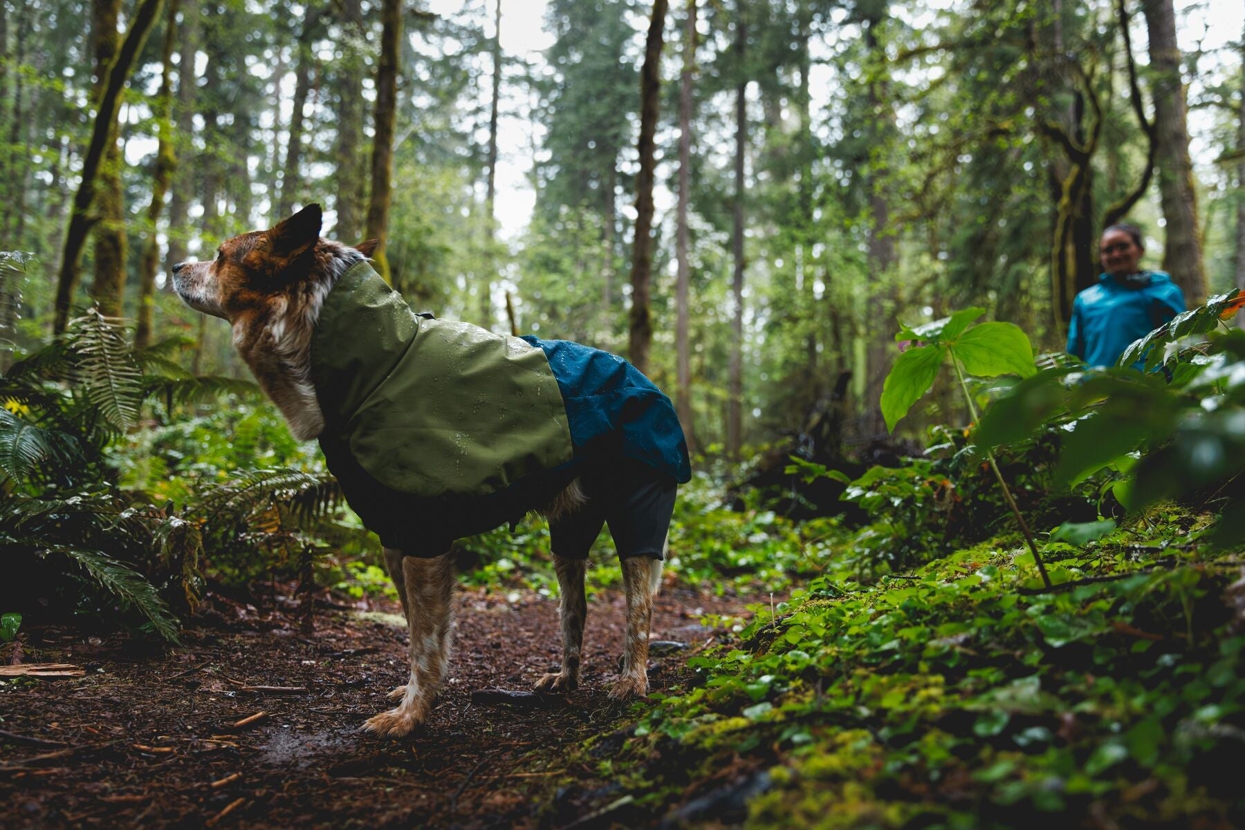 ****NEW**** Sun Shower™ Coverall Dog Rain Suit (Ruffwear) - SnowPaw Store - Ruffwear - Dog Coats
