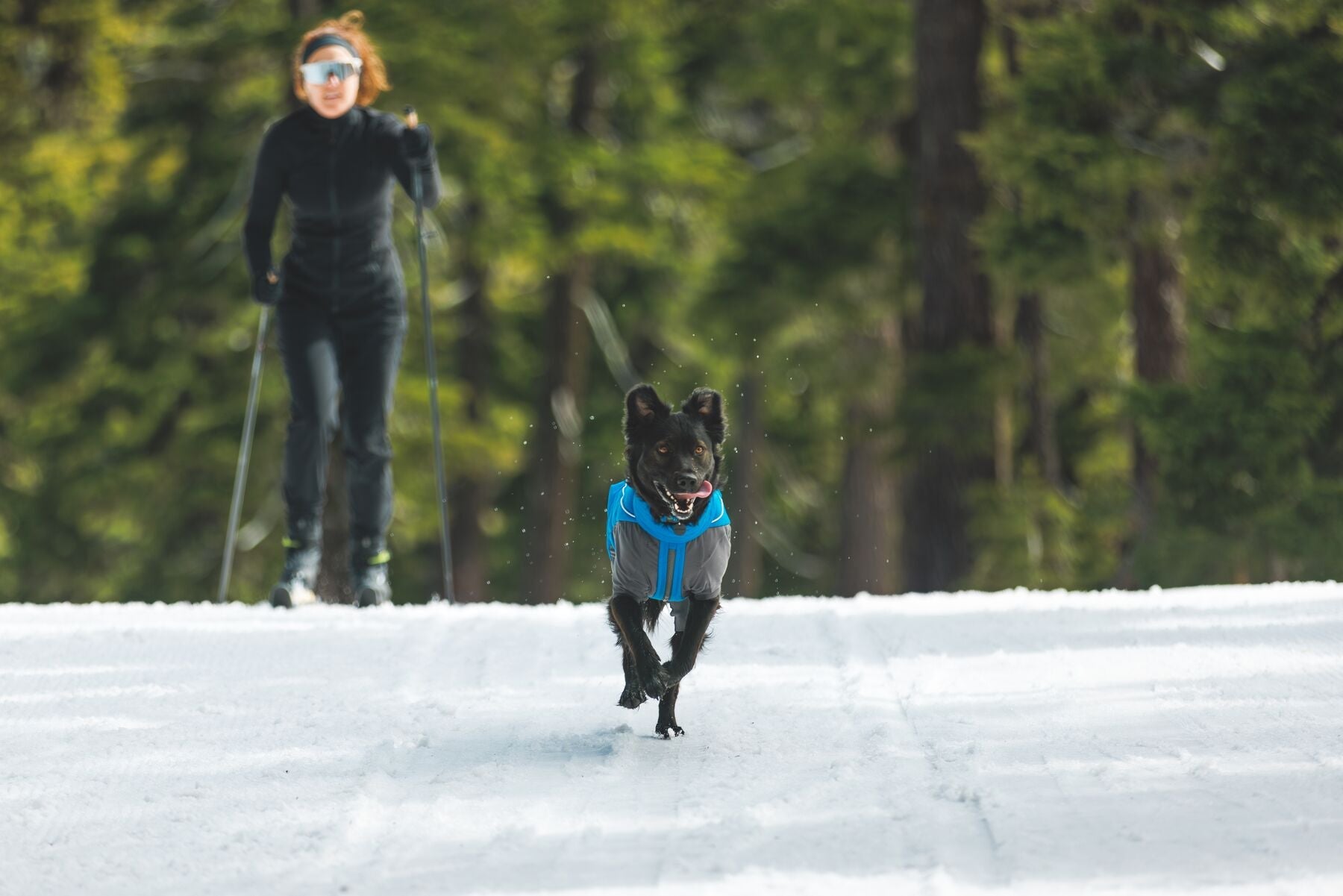 ****NEW**** Vert™ Coverall Dog Snow Suit (Ruffwear) - SnowPaw Store - Ruffwear - Dog Coats