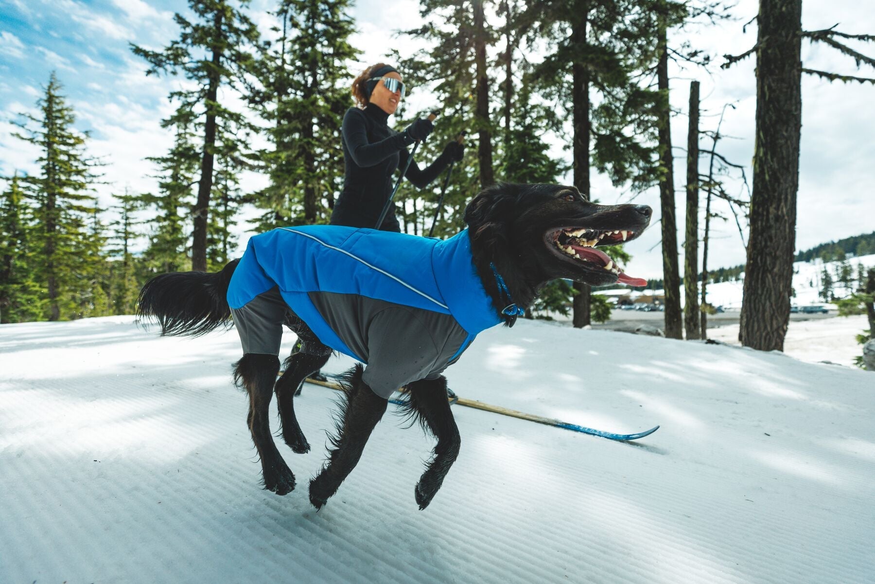 ****NEW**** Vert™ Coverall Dog Snow Suit (Ruffwear) - SnowPaw Store - Ruffwear - Dog Coats