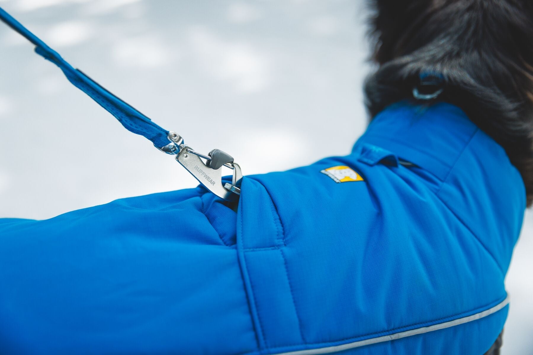 ****NEW**** Vert™ Coverall Dog Snow Suit (Ruffwear) - SnowPaw Store - Ruffwear - Dog Coats