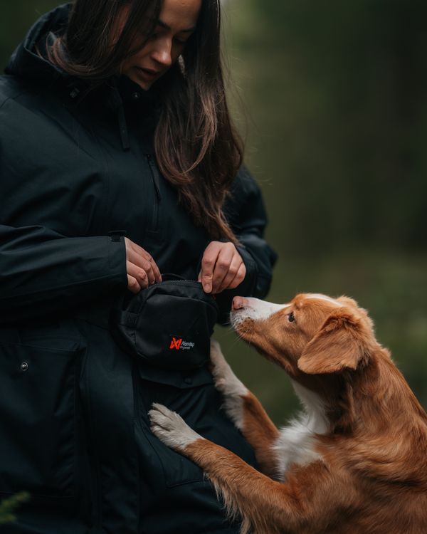 ***NEW***Trail Quest Fanny Pack Black (Non - Stop Dogwear) - SnowPaw Store - Non - Stop Dogwear - Dog Collars, Leads, Belts