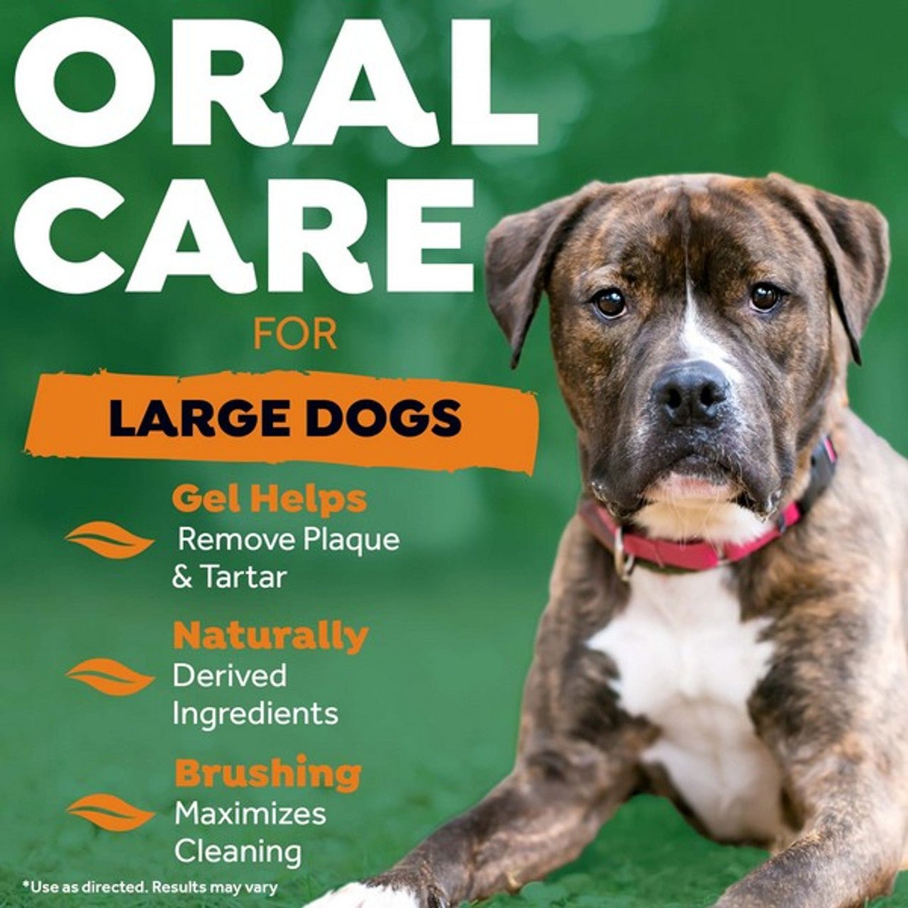 Oral Care Kit for Small Dogs 59ml (TropiClean) (Copy) - SnowPaw Store - TropiClean - Food & Health