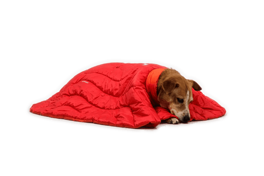Palisades™ Sleep Poncho (Ruffwear) - SnowPaw Store - Ruffwear - Dog Apparel