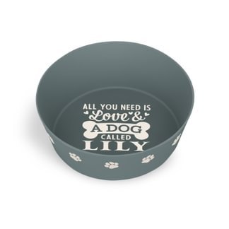 Personalised Dog Bowl - SnowPaw Store - H&H - Food & Health