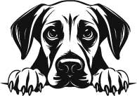 Personalised Thermal Mug (SnowPaw Engraving) - SnowPaw Store - SnowPaw Store - Gifts