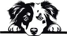 Personalised Thermal Mug (SnowPaw Engraving) - SnowPaw Store - SnowPaw Store - Gifts