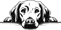 Personalised Thermal Mug (SnowPaw Engraving) - SnowPaw Store - SnowPaw Store - Gifts