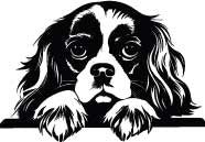 Personalised Thermal Mug (SnowPaw Engraving) - SnowPaw Store - SnowPaw Store - Gifts