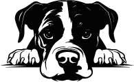 Personalised Thermal Mug (SnowPaw Engraving) - SnowPaw Store - SnowPaw Store - Gifts