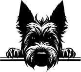 Personalised Thermal Mug (SnowPaw Engraving) - SnowPaw Store - SnowPaw Store - Gifts