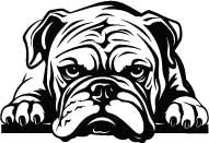 Personalised Thermal Mug (SnowPaw Engraving) - SnowPaw Store - SnowPaw Store - Gifts