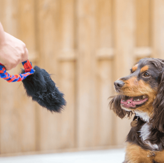 Pocket Magnet - Sheepskin Dog Toy (Tug - E - Nuff) - SnowPaw Store - Tug - E - Nuff - Dog Toys