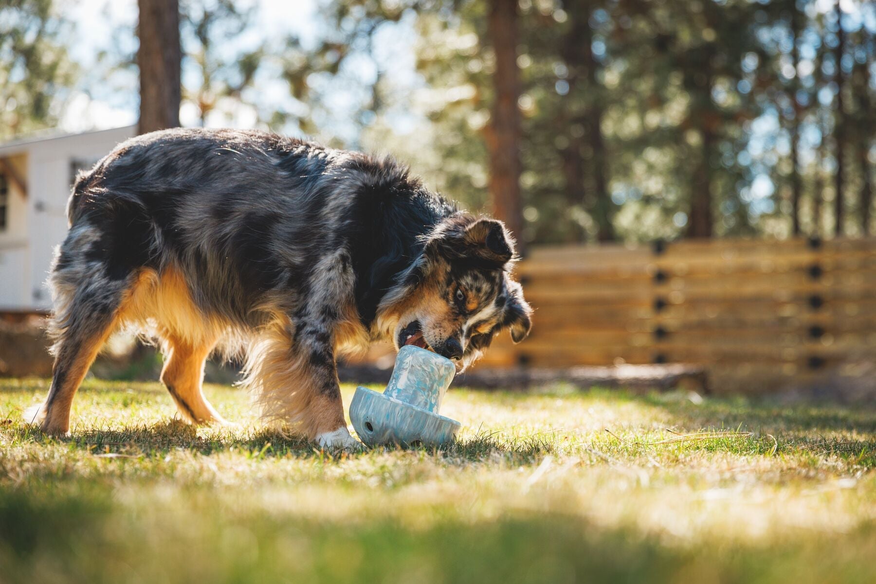 Porcini Toy (Ruffwear) - SnowPaw Store - Ruffwear - Dog Toys