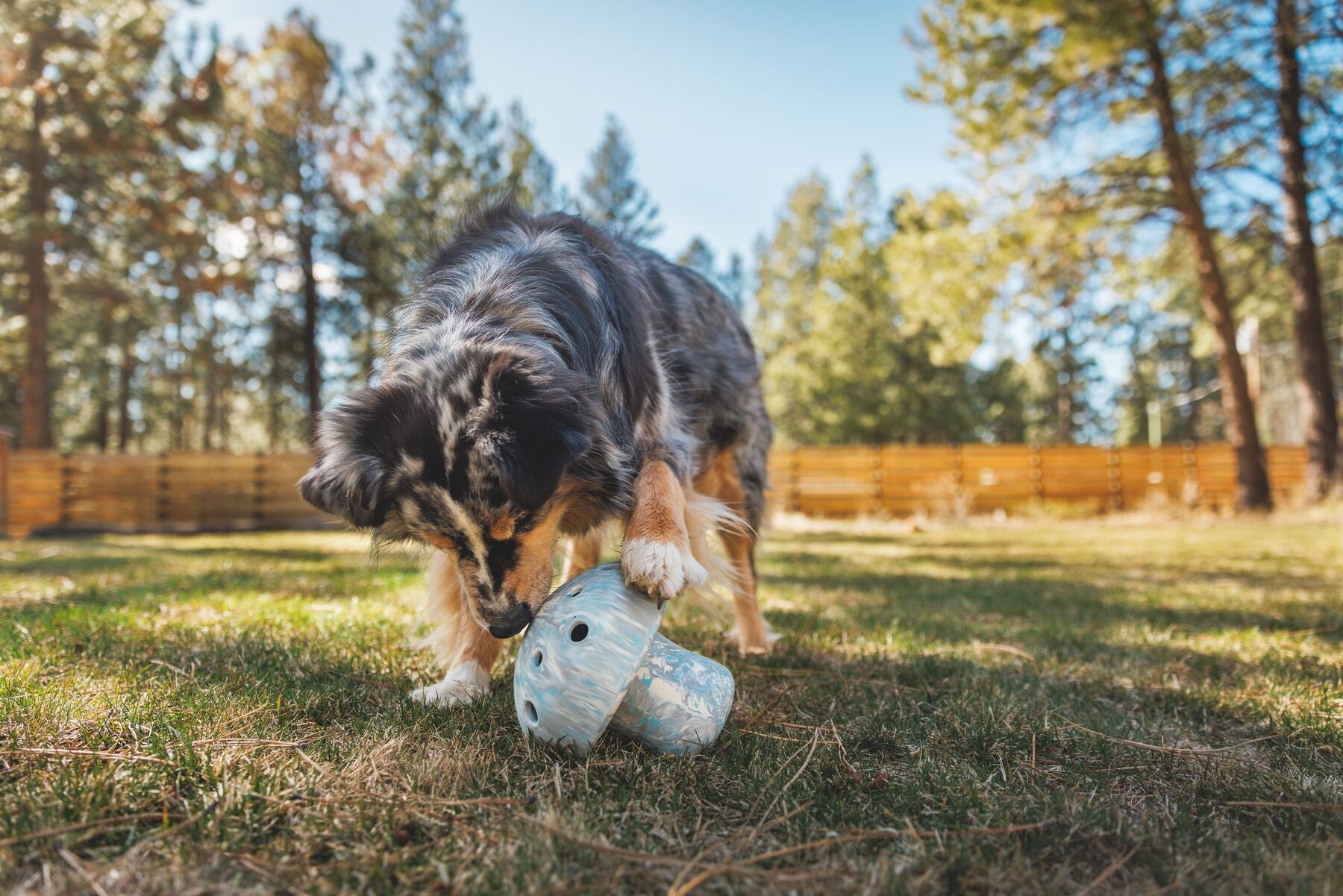 Porcini Toy (Ruffwear) - SnowPaw Store - Ruffwear - Dog Toys
