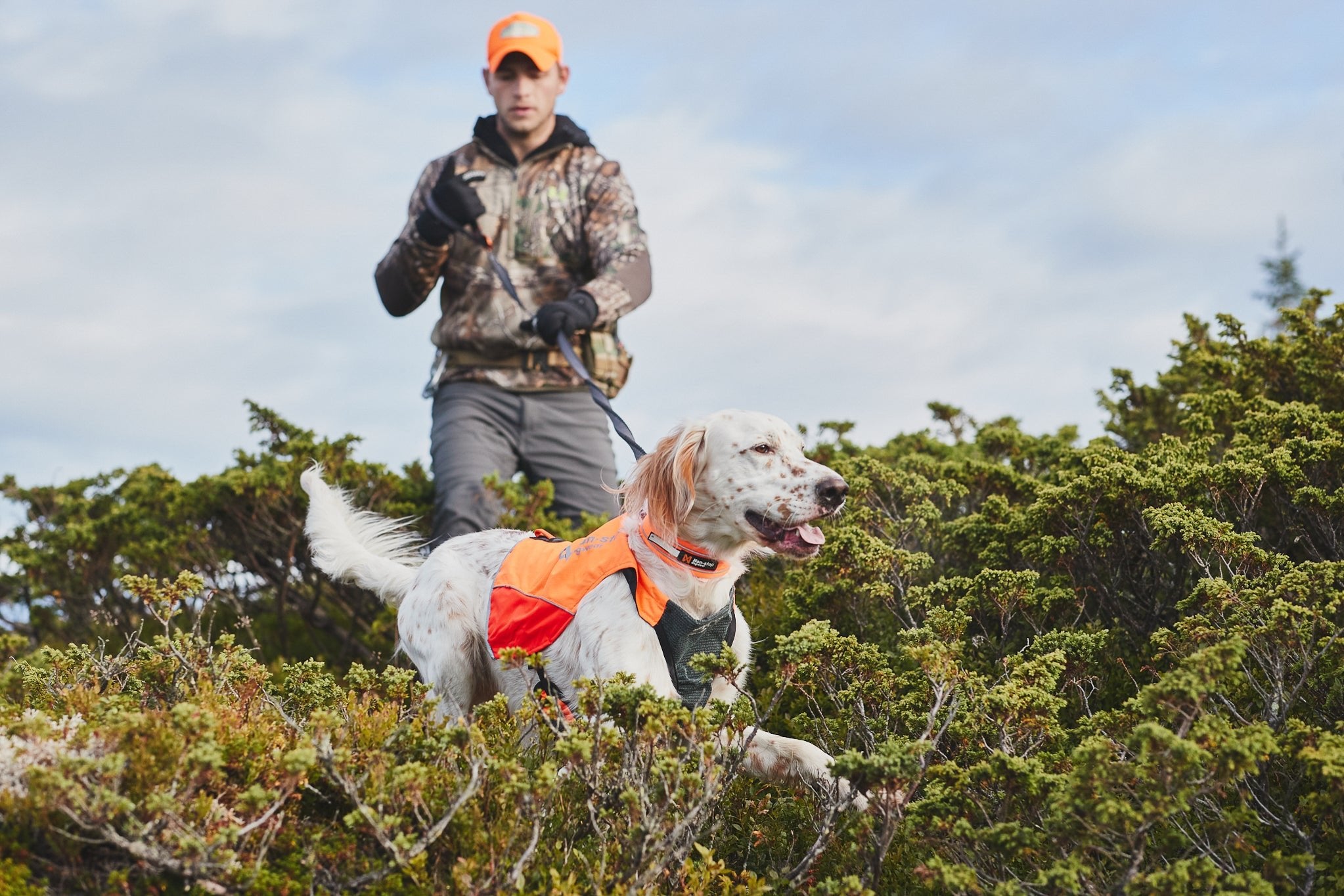 Protector Vest (Non - Stop Dogwear) - SnowPaw Store - Non - Stop Dogwear - Dog Apparel