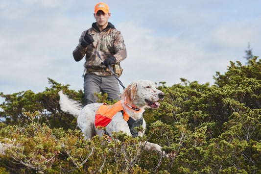Protector Vest (Non - Stop Dogwear) - SnowPaw Store - Non - Stop Dogwear - Dog Apparel