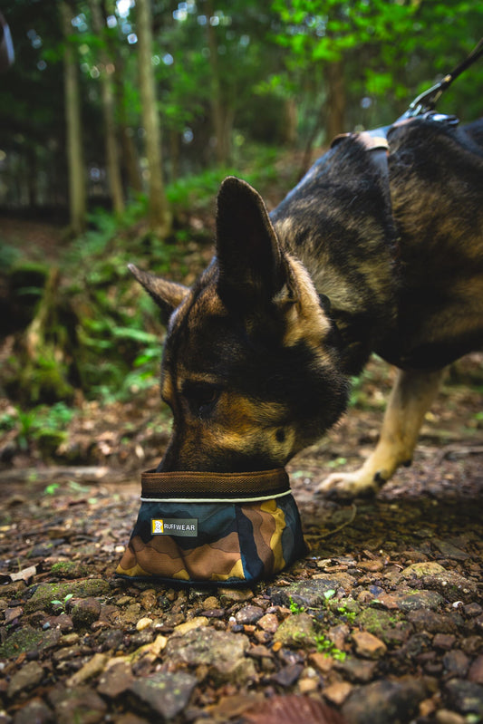 Quencher™ Packable Dog Bowl (Ruffwear) - SnowPaw Store - Ruffwear - Pet Supplies