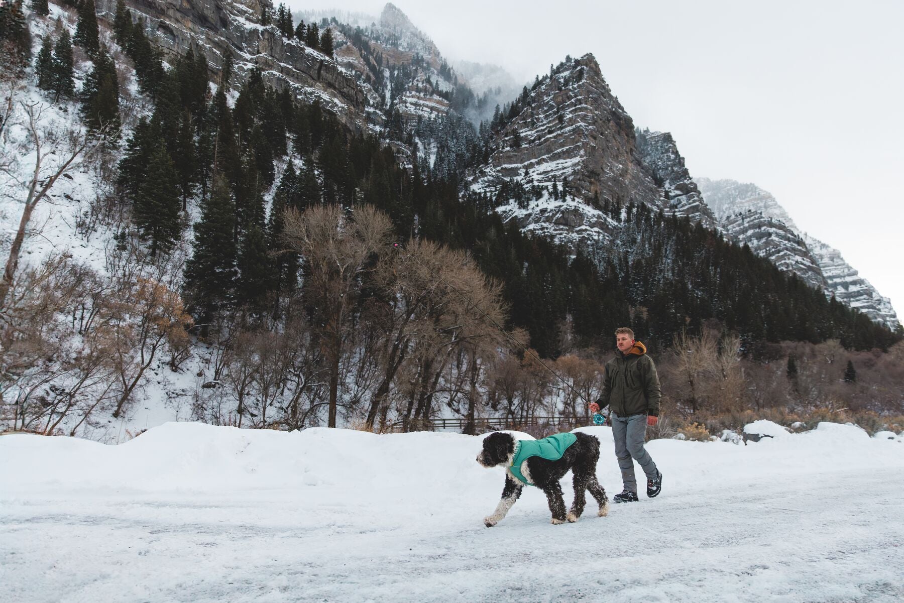 Quinzee Jacket (Ruffwear) - SnowPaw Store - Ruffwear - Active Dog Gear