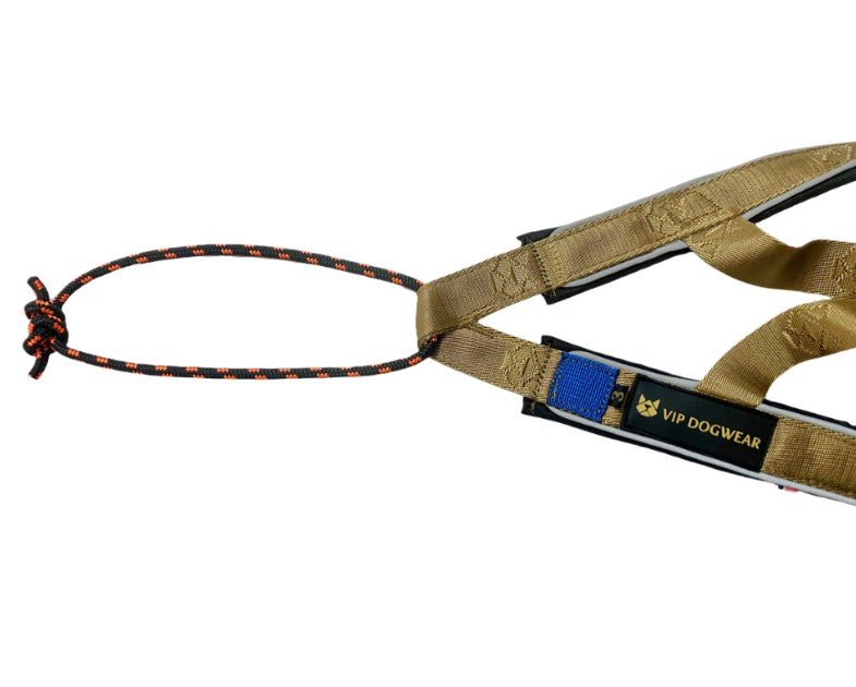R Harness Signature Gold (VIP Dogwear) - SnowPaw Store - VIP Dogwear - Dog Harness