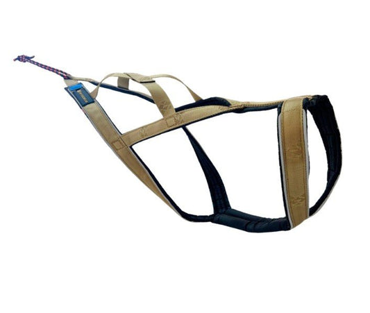 R Harness Signature Gold (VIP Dogwear) - SnowPaw Store - VIP Dogwear - Dog Harness