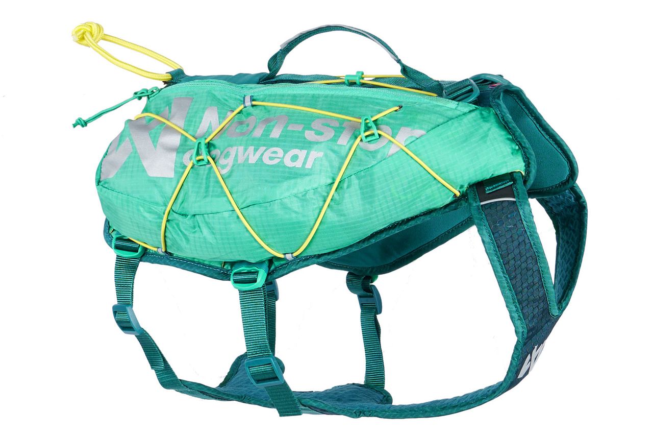 Teal Dog Back Pack
