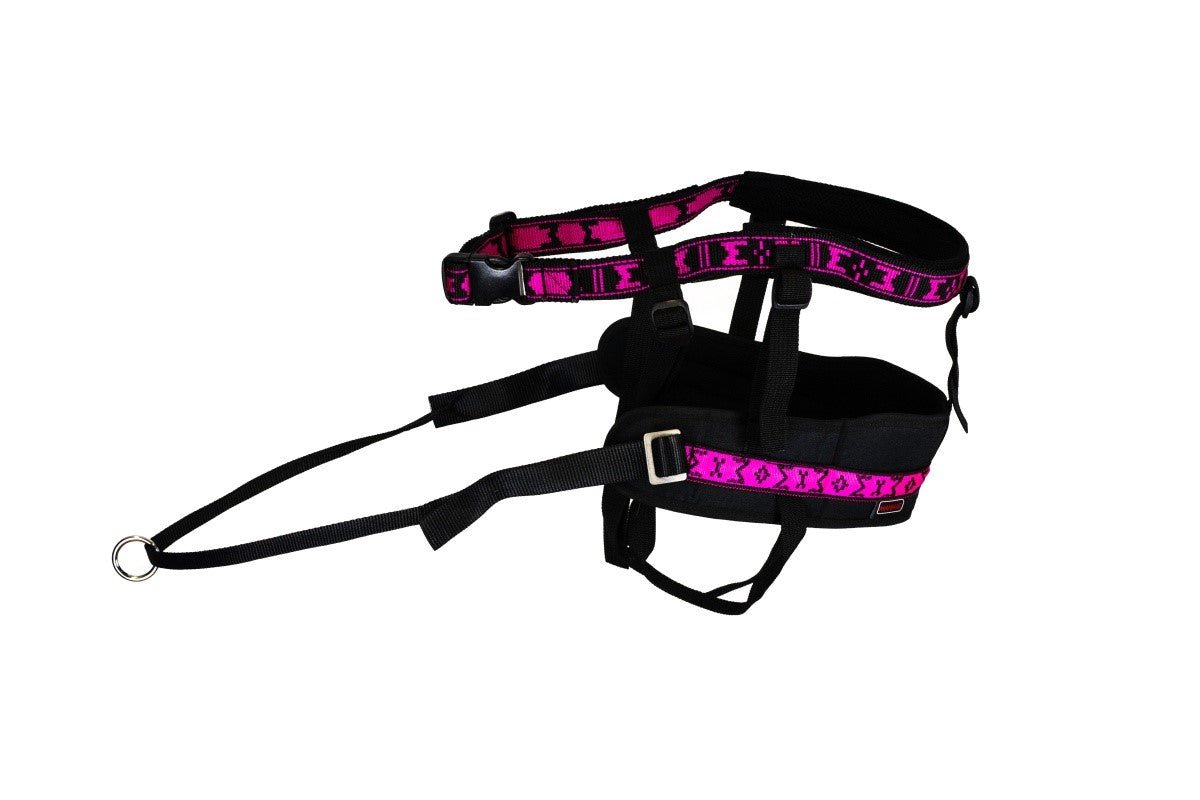 Race Pro Belt (Manmat) - SnowPaw Store - ManMat - Canicross