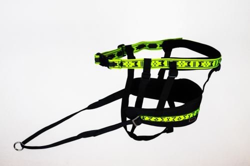 Race Pro Belt (Manmat) - SnowPaw Store - ManMat - Canicross