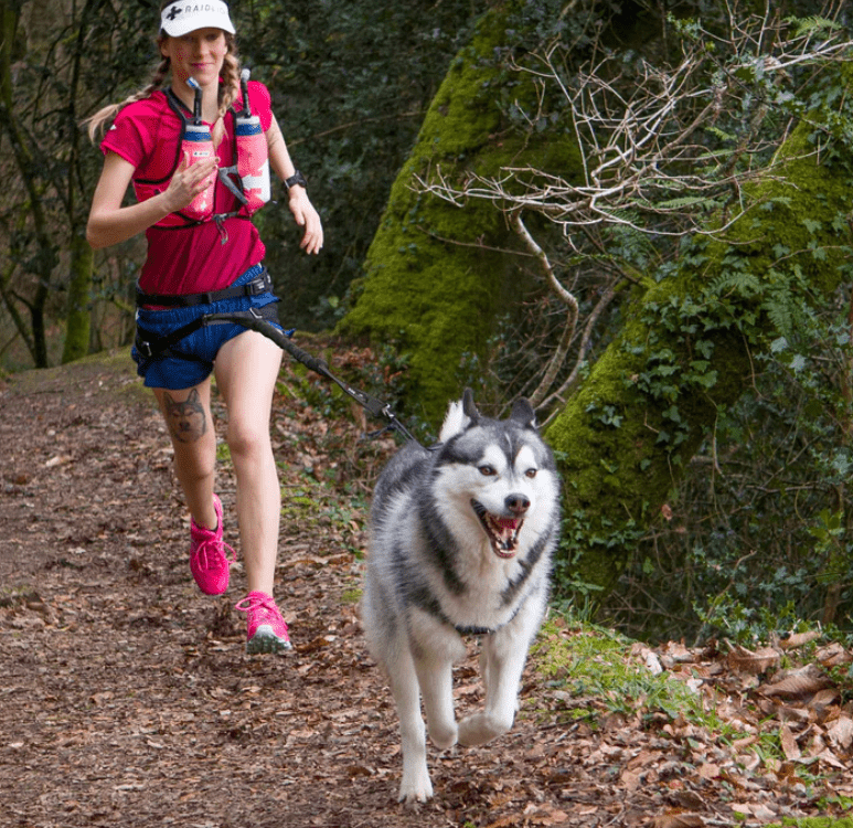 RAIDLIGHT Running Belt (i - Dog) - SnowPaw Store - i - Dog - Dog Collars, Leads, Belts