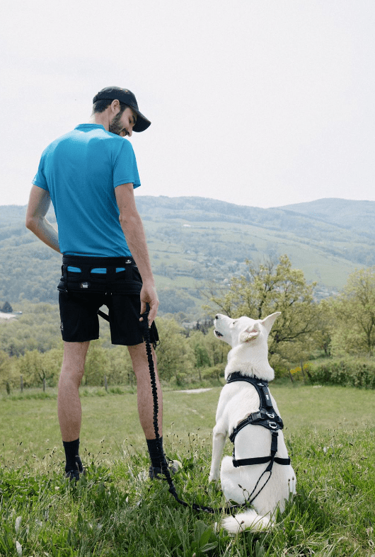 RAIDLIGHT Running Belt (i - Dog) - SnowPaw Store - i - Dog - Dog Collars, Leads, Belts