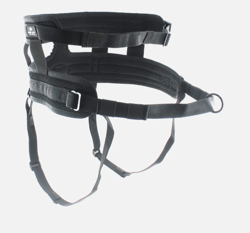 RAIDLIGHT Running Belt (i - Dog) - SnowPaw Store - i - Dog - Dog Collars, Leads, Belts