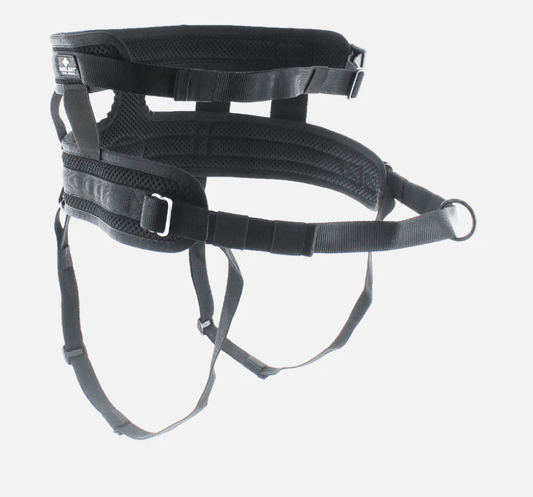 RAIDLIGHT Running Belt (i - Dog) - SnowPaw Store - i - Dog - Dog Collars, Leads, Belts