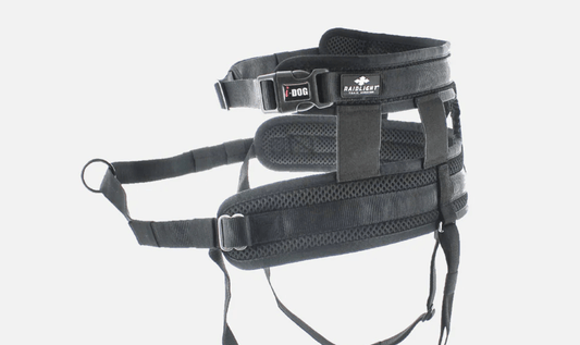 RAIDLIGHT Running Belt (i - Dog) - SnowPaw Store - i - Dog - Dog Collars, Leads, Belts